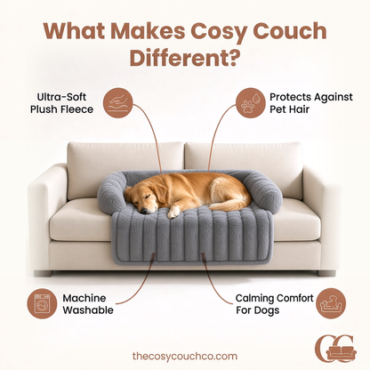 Cosy Couch - Calming Bed